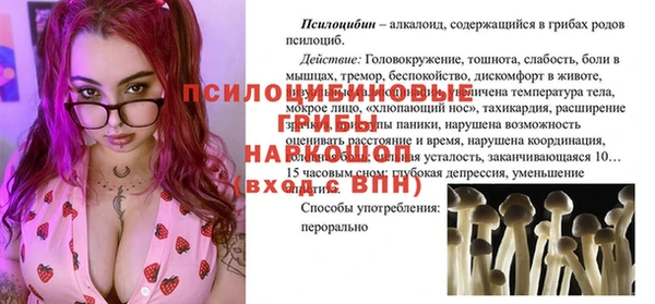 гашик Армянск
