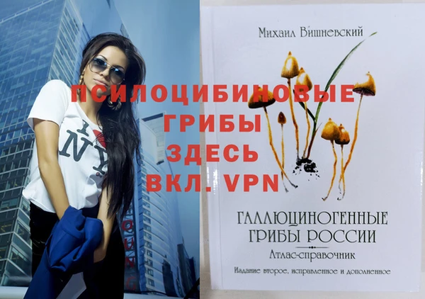 меф Арсеньев