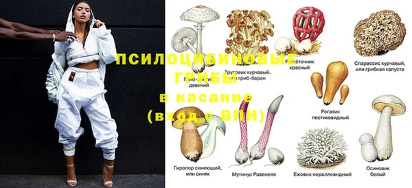 гидра Балахна