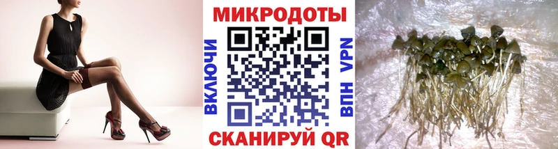 MEGA маркетплейс  Урус-Мартан  Галлюциногенные грибы ЛСД  продажа наркотиков 