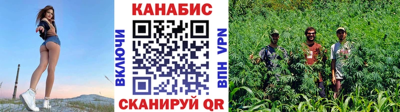 Канабис семена  где продают   Урус-Мартан 